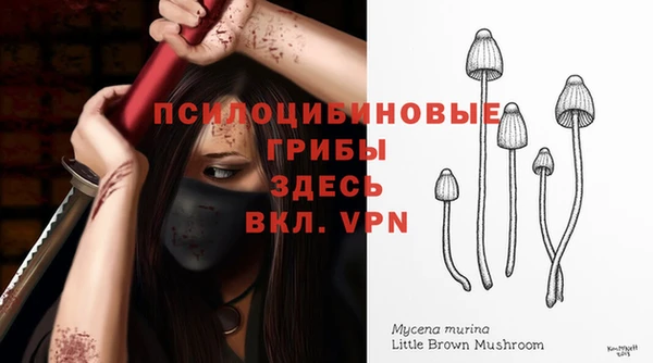 гашишное масло Абаза