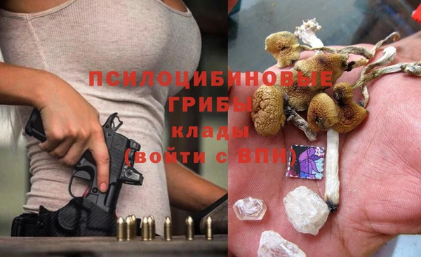 хмурый Абинск