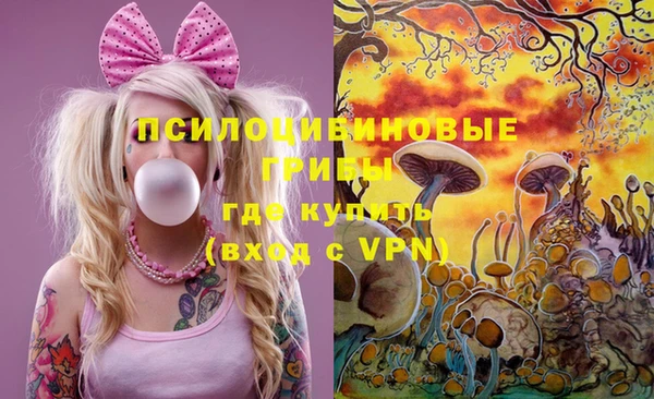 хмурый Абинск